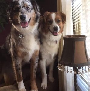 Meet your Posher, Kimberly